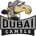 DUBAI CAMELS (UAE)